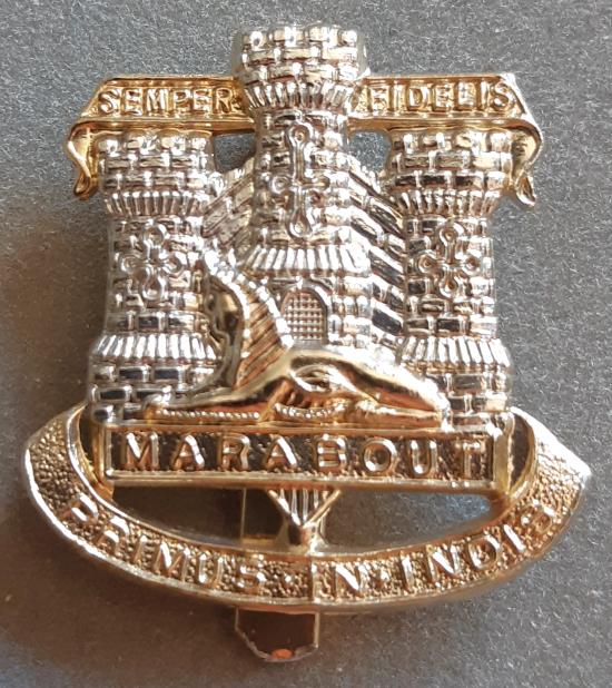 BRITISH - The Devonshire & Dorset Regiment Anodised Hat Badge (KK2043)
