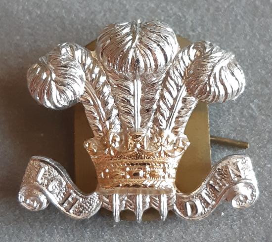 BRITISH - The Royal Wiltshire Yeomanry (Prince of Wales’s Own) Anodised Collar Badge